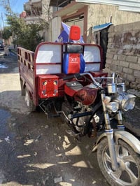 ستوته • موديل 19 • بدون محجل