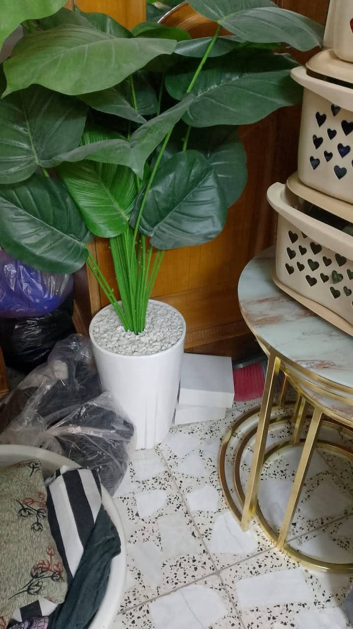 للبيع  نضيفات ابو مجرات ٢٥وبي مجال وطبلات جديدة ٢٥ سعرها  مكاني بغداد حي بساتين  وعندي. مغسلة وزولية  وسخان  عندي غراض بيت ومطبخ وعندي غسالة فول نضافة سامسونك ١٥كيلو. سعرها ٢٠٠قفل


**إذا كنت صاحب هذا الإعلان وتريد حذفه لأي سبب، رجاءا أرسل رسالة إلى الدعم الفني**