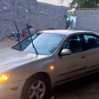 مكسيما • ٢٠٠٠ • مصبوغه جماليه