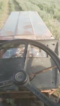 حاشوشه تركي • ابو غريب • مدخل السعد