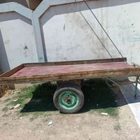 عربانة • نظيفه • ش30 قرب المكارم