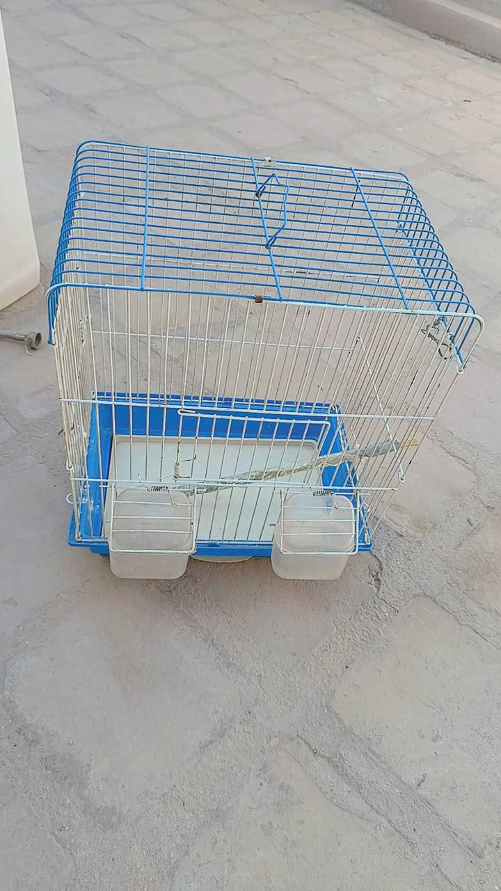 مستعمله نظيفه


**إذا كنت صاحب هذا الإعلان وتريد حذفه لأي سبب، رجاءا أرسل رسالة إلى الدعم الفني**