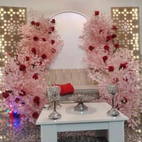 كوشات • أعراس • حي الجامعه