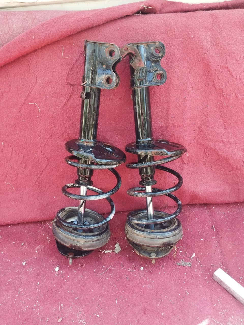 دبلات كورلا امامي***********
