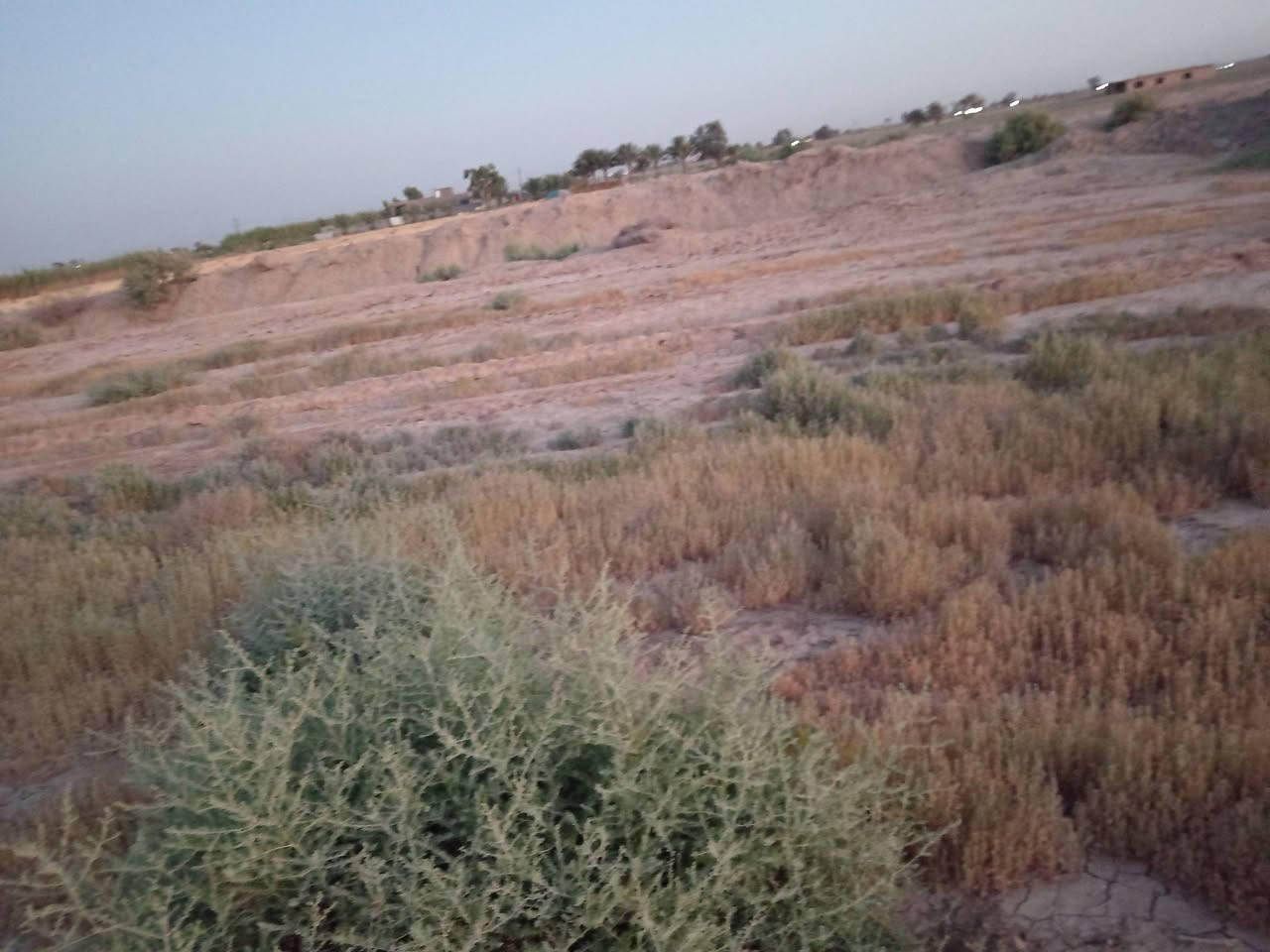 السلام عليكم دونم ونصف الوجه تقريبآ ١٥ متر إلى ١٧ النزال ١٢٠
موقع الأرض جنوب بغداد بداية الجسر الخامس بالقرب من المستوصف الصحي طابو زراعي سند ٢٥
الخدمات
كهرباء
ماء سقي ومدارس ومحلات تجارية تبليط بوجه الكاع صايره ركن الموقع مالتها
دونمين بصفها انباعت بقه هذا الدونم ونصف اني ابيعلك دونم وهاي ل نصف دونم للمشتري
*********** واتساب أو اتصال
