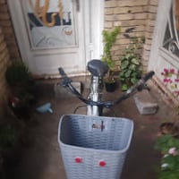 باسكل • ما بي عطل • حي العباس