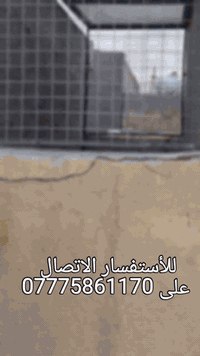 السلام عليكم اني حداد اشتغل  أسقف وهذا شغلي  مكاني الرئاسة  قرب ملعب أحمد معرض  للأسفسار الاتصال على الرقم***********
