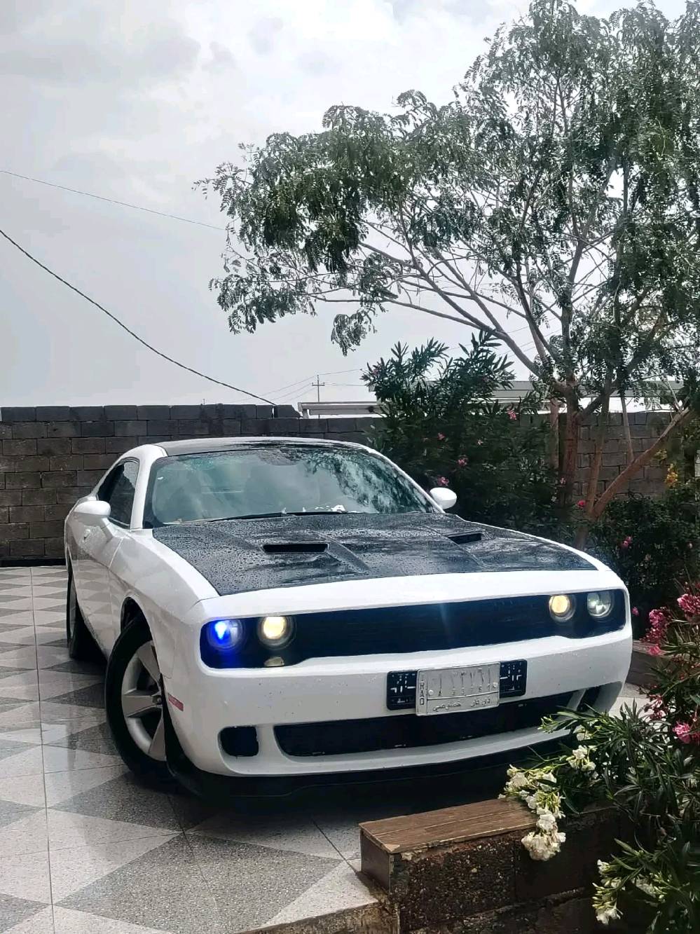 Challenger 2013 v8
RT Hemi 
 
كير مكينة اكسل شرط 

صبغ حزام 
 حادثه جاملغ عكس السايق وشويه من البنيد 
سيارة بدون دواخل نهايا

مواصفات 

شفتات ستيرن
كشنات جلد ،كشنات كهربا
شاشه جبير 

طخم امامي خلفي جديد
تايرات ووياله نظاف 
دهن وفلتر وشوته جديد
بولش جديد

وبعد هواي مواصفات 
ماشيه 180  
رقم ذيقار مشروع وطني شرط التحويل 
مكان سيارة واسط قضاء الصويرة 
سعر 105$وبي مجال 
رقم *********** بي واتساب