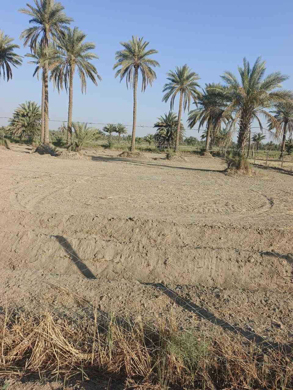 اسلام عليكم دونم ونص لبيع
طابو زراعي سند 25 الواجه 40متر
مكان الرض الدسميه مسيج بل كامل وجهيه عل بزل فرعي
سعره 60 وبي مجال اتصال ع ***********            ***********
