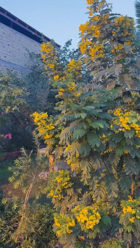 بيت للبيع گرمه علي 
نهايه حي الرساله 
المساحة الكليه  500 متر 
البناء 300 متر
 الحديقة 200 متر
يحتوي على استقبال
 وهول وصالة
 وأربعة 4غرف 
وصحيات خارجية وداخلية ومطبخ وفضاء خارجي في الطابق الثاني 
البيت معروض مع الأثاث
ليس طابو...
السعر 210 وبيه مجال 
عقارات ابو كيان 
رقمي القديم ***********

رقمي الجديد *********** واتساب
