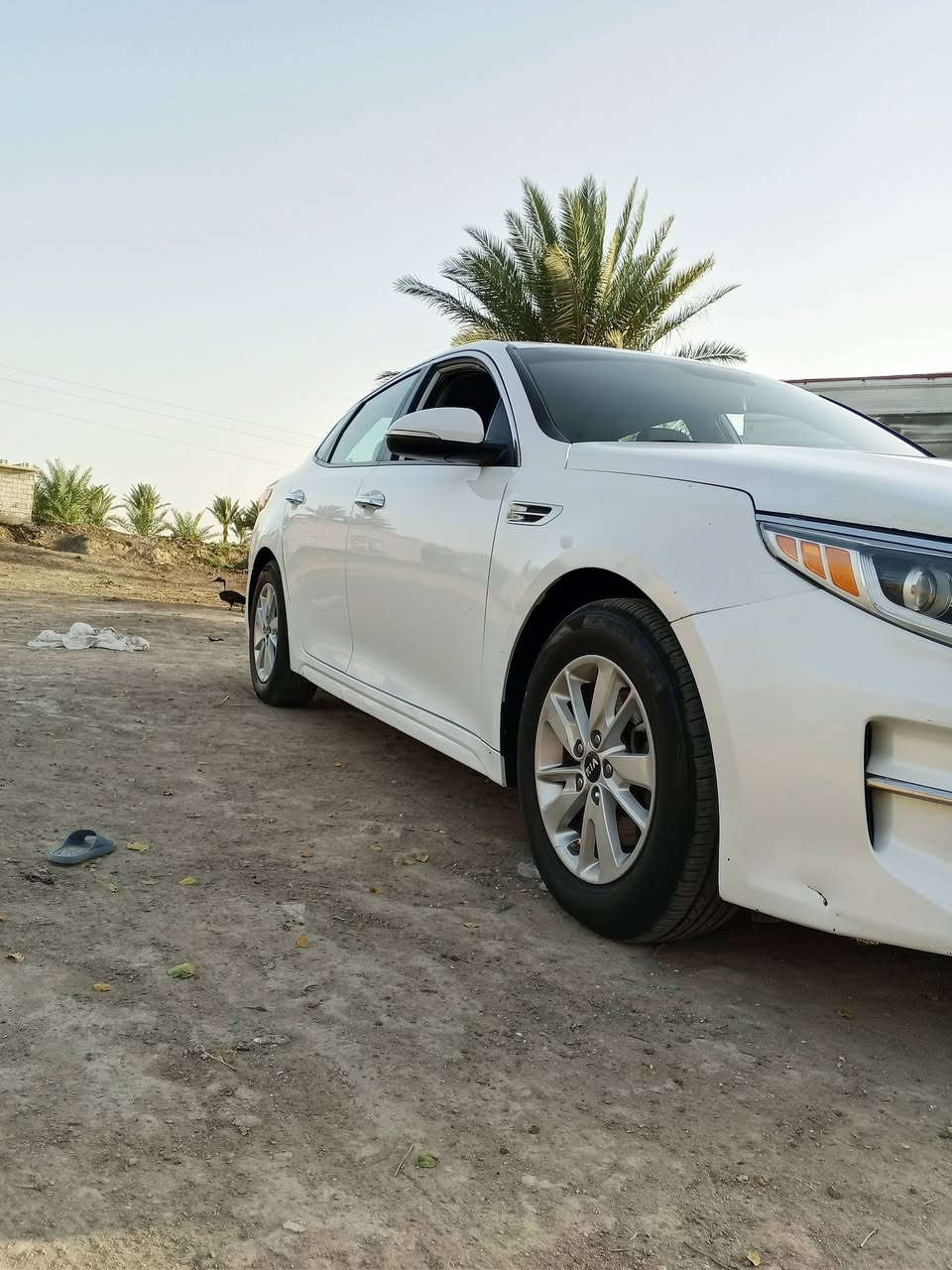سلام عليكم شباب اوبتما كية البيع سيارة رقم 
بغداد  موديل 2018سيارة جديدة حيل بمعة الكلمة سيارة وارد امريكي بيهة الجاملغ المامي او الخلفي مال السدر 
بدون ايرباك سيارة كفالة من عدة  هذني الي ذكارتهن  كير محرك كفالة سيارة بيهة بل الجاملغ الخلفي تكعة صفرة مال الصبغ  طاكتة الشمس سيارة مراوس او البيع ....المراوس .اب..كي فايف..او.. بسورنتو..حسب القناعة ......
......سعر السيارة 138.....كلف بل النشر 
..


**إذا كنت صاحب هذا الإعلان وتريد حذفه لأي سبب، رجاءا أرسل رسالة إلى الدعم الفني**