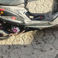 ماكس عدله • معدل • بوشه ٥٥