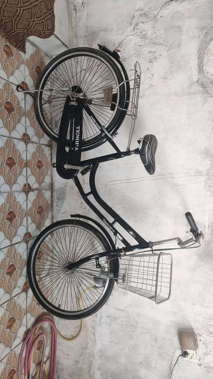 السلام عليكم .باسكل للبيع .اخو الجديد
حله .حي المهندسين ***********
