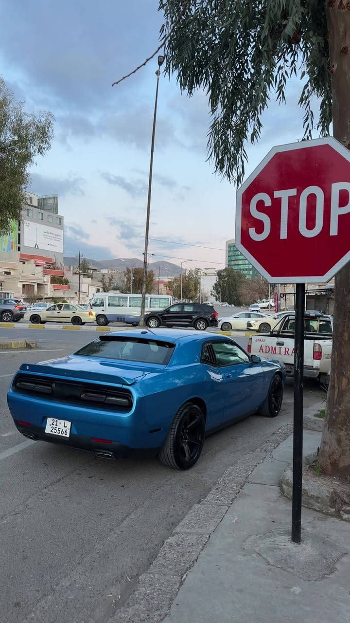 جالنجر ١٨ حادث موضح بالصورة جامرلغ وبونيد ماشية ١٢٧km حقيقي سنوية ٢٩ كير ومحرك بالشر  
السعر ١٥٥ وبيهة مجال بسيط  السيارة نضيفة على ايدي  مكان كركوك فيلق اي استفسار اتصل خط او واتساب ***********
