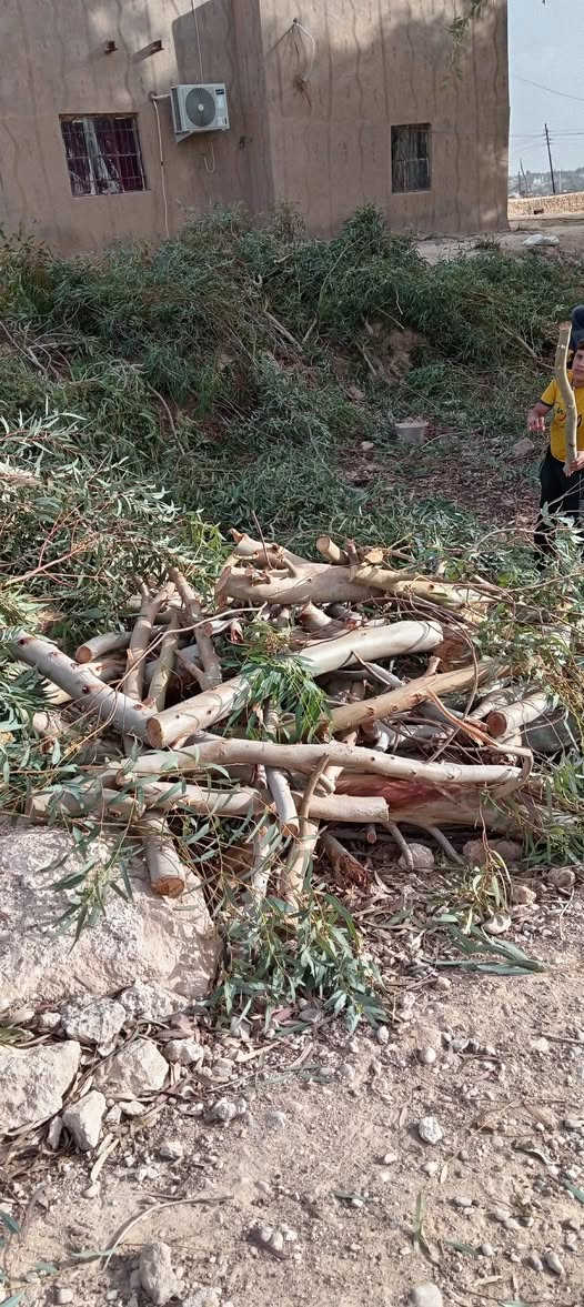 السلام عليكم
يوجد حطب أخضر للبيع حمل كيتين أو اكثر السعر 190 ألف /المكان البغدادي / رقم. ***********
