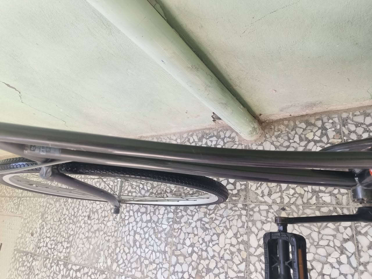 السلام عليكم
باسكل للبيع 
المكان حي النداء عامود 54
النظافة 100/95 
النواقص : 1- ضب للخزينة (تكلف 3000) 
2- الزنجيل مزنجر (يكدر يمشيك 3اشهر ويكلف 4000-5000) 
3-تنظيف 
إذا تريد ابيعلك كماليات : 1-فسفورة10 ومسطرة23 سيم مال ويل ب 5000 يسون ويل وجهين أو انته بعد شلون ترتبه
2- طيارة ورة ب3000
3- طيارة كدام ب5000
4- حديدة تثبيت مال جاملغ قوية (مدري شسمه) ب2000
5-زنجيل مزنجر ب1500
6- يده بريك كدام بدون قاعده هو وسيمهة ب1000
السعر ب 135 (وبيه مجال قليل ) ويه هذني فقط 
يجي ويه الباسكل البنز ماله البلادي لان جايب ابداله بنز أبو 8الف وجاملغاته والبريك الأمامي 
وإذا تريد المذكورات كلهن ب150
ملاحظه : 1- بس تشتري اني غير مسؤول عن أي شي 
2- انته تجي وليس أنا 
3- إذا مو شراي كلي وعادي ابقة اتواصل وياك 
4- دز طلب صداقه علمود نتفاهم


**إذا كنت صاحب هذا الإعلان وتريد حذفه لأي سبب، رجاءا أرسل رسالة إلى الدعم الفني**