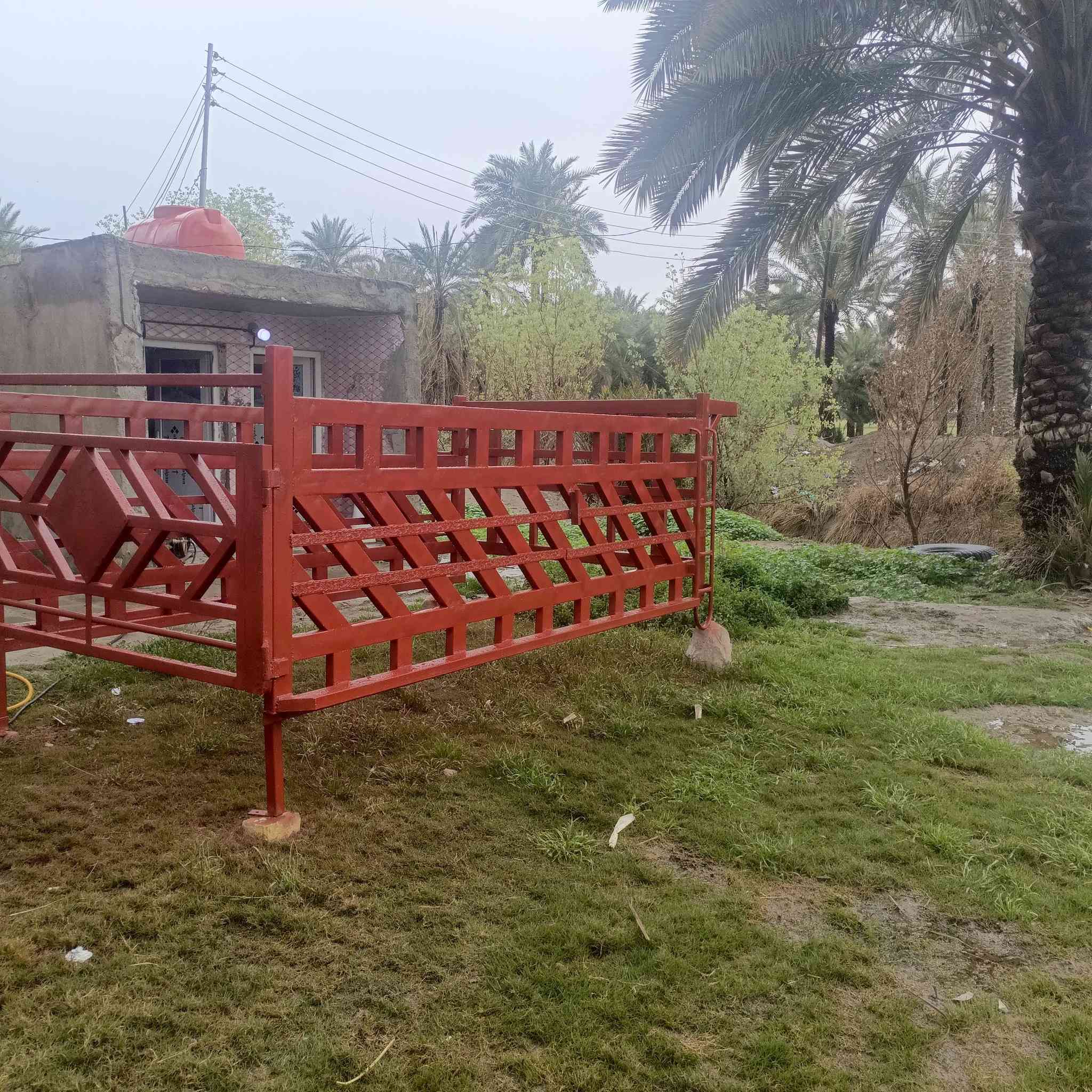 سلام عليكم محجر فحل للبيع تزكام درجه اولى ملم ونص مكان النجف ابو صخير استفسار ***********
