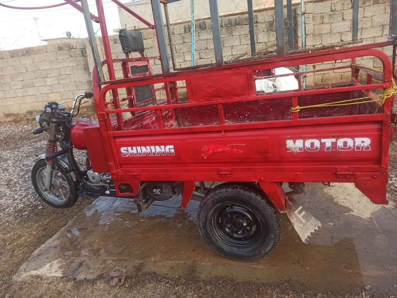 السلام عليكم ورحمه الله وبركاته اخوان ستوتة 2016 محرك 23 فحل عالي شاصي رگبه شرط الموقع جنوب الموصل ناحية القيارة قرية العوسجة السعر 800 وبيها مجال للطيبين + اوراقها كامله
الرقم: ***********
ملاحظة : المو شراي لا يطب خاص وتحياتي.
