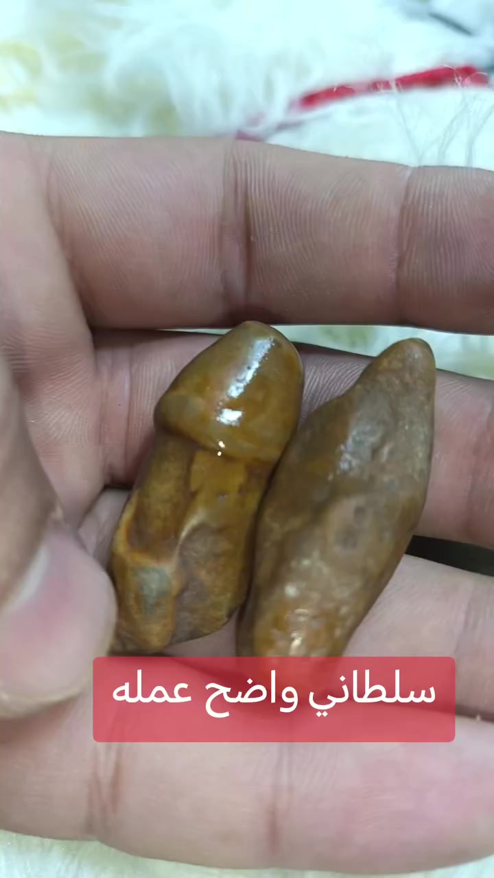 متوفر جميع أنواع الأحجار


**إذا كنت صاحب هذا الإعلان وتريد حذفه لأي سبب، رجاءا أرسل رسالة إلى الدعم الفني**