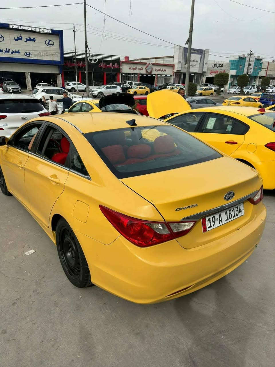 السلام عليكم سوناتا موديل 2013وارد امريكي كير مكينه تخم تاير حداديه كلها جاهزه بسمنه  سياره مال جناي خير من الله فقط جاملغ اليمن مبدل من امريكه جهت السدر السعر 85 وبيها مجال قل
يل الشراي مكان كربلاه  النتصال عل رقم *********** كربلاء, العراق
