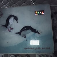 فلتر ماء • مستعمل • السماوة الجربوعية