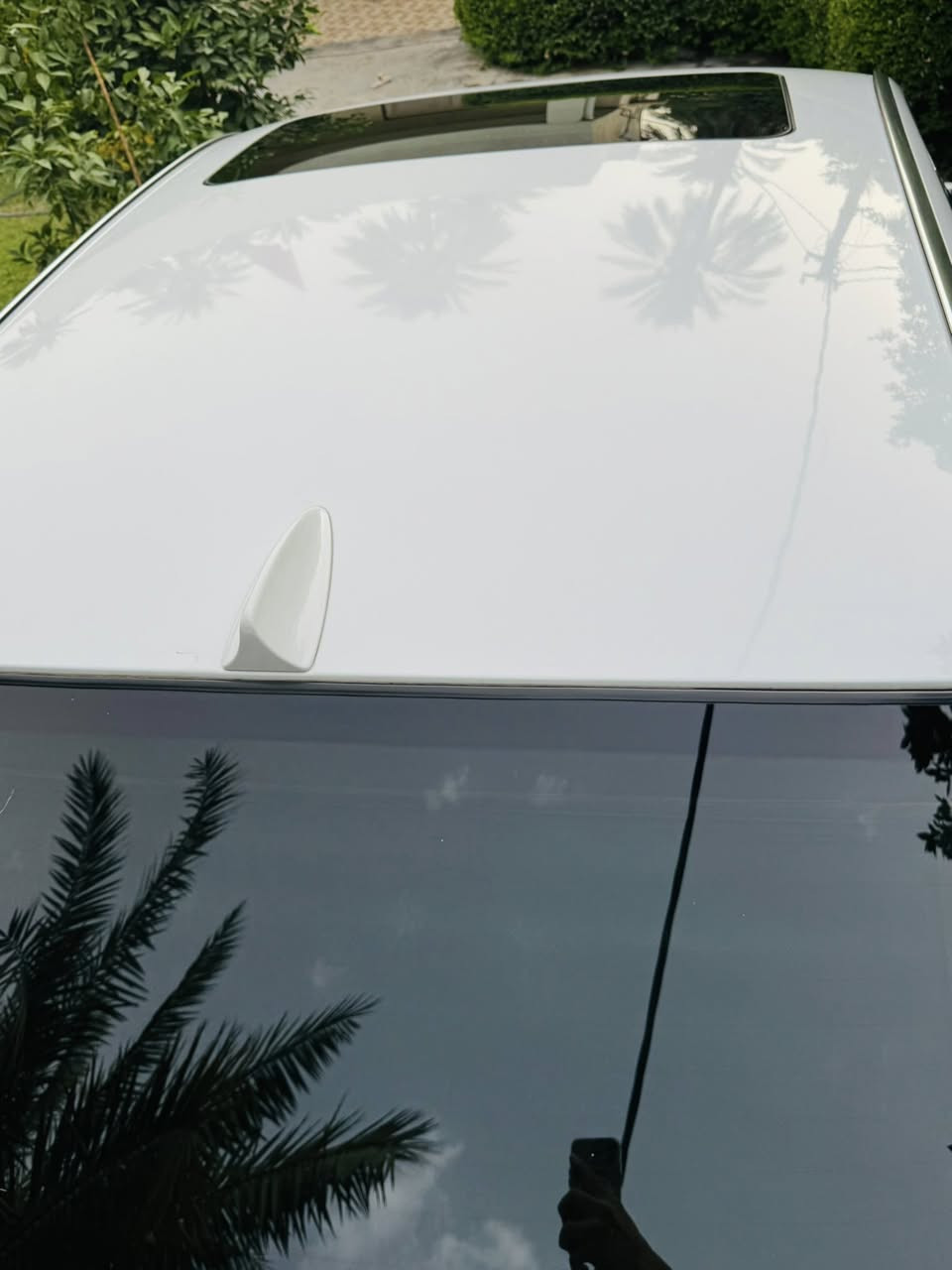 2008  خليجية 
رقم بغداد
مكفولةةةةة
حجم 740 Li

***********
