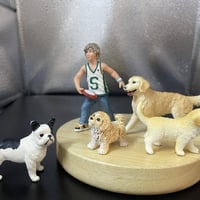 التفصيل بالصور • انظر الصور