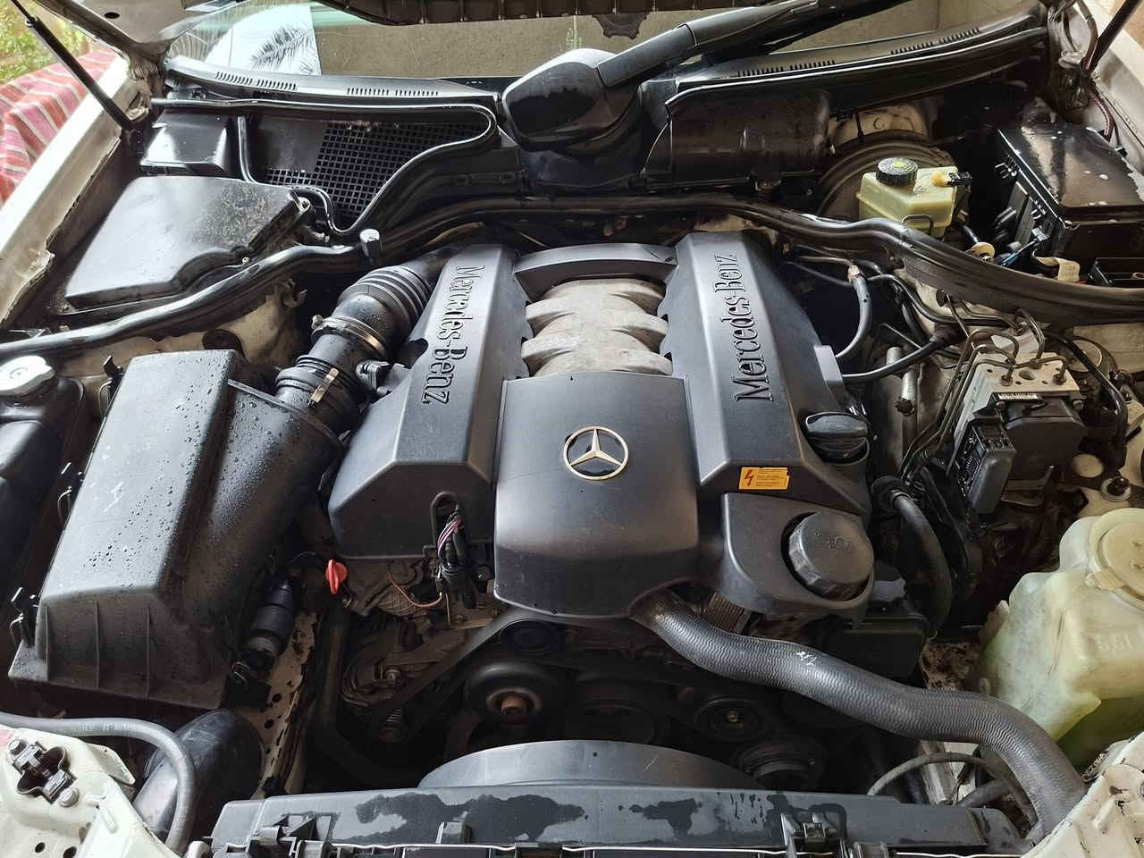 السلام عليكم ورحمة الله وبركاته
اخوان من رخصة الادمن 
‏
#رقم الهاتف :*********** 

#رقم السيارة :بغداد باسمي سنوية نافذة لغاية ٢٠٢٩

#مكان السيارة بغداد 
-------------------------------------
السلام عليكم 
للبيع فقط بدون مراوس 
مرسيدس ام عيون  ابيض موديل 2000 اصل  وارد الماني  صبغ حزام ففط ودواخل مكفولة سيارة جاهزة بدون نواقص  
تفاصيل👇🏻
1_ بصمة ⁦🗝
2_محرك6V✈️⁦⁩+كير المرغوب 
3_تبريد ❄️ قطعتين⁦
4_كروز سرعة🔒 
6_مراية داخلية+جانبة عاكسة 🔍
7_تحكم ستيرن ⚔️
8_ كشنات كهرباء ⚡️
9_تجاوي خلفية قلابة ✨
10-شاشة اعطال🖥
11-مصباح داخلي بالخلف 
12-انارة ترحيب 🔦
13_ دبل ايرباك 
14-زوج  تاير جديد
15-اشاير بلمري💡
16-صدر امامي خلفي جديد ⚔️⁦ حدادية جديدة مكفولة١٠٠ 
17-مري شفط
18-جلد ⚔️
19_لايت زنون بلادي   
سيارة كراسي كهربائي وتحكم جلد وفرس جدد 
سيارة للجناي الله شاهد 
السعر ١٢٥ الشراي يتفضل عالخاص 
الميصرفلة لا يكسر حلال العالم الله ييسر للجميع 

-------------------------------------
