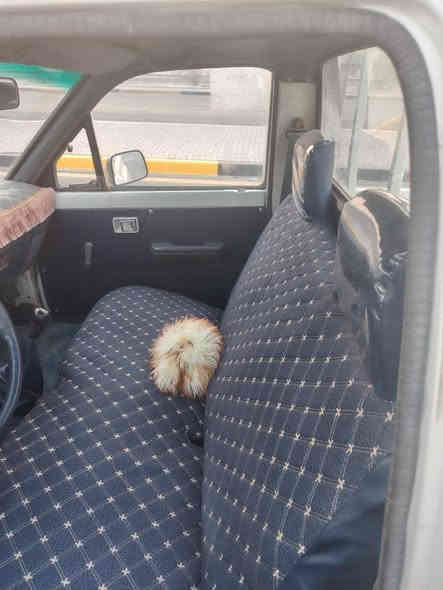 سلام عليكم بك اب موديل 90
عفاله من الظربه والعيب الشرعي
صبغ جماليه فقط محرك ثري واي جديد وكير جديد وحدايه جديده
وكهربائات كلها شغاله
دوشمه جديده رقم بصره
سنويه لغايت 2027 نفاذ
السنويه بسمي تحويل ثاني
يوم غير متواجد ع فيسبوك
انا مكلف بالنشر هذا رقم صاحب
السياره ***********
ر
