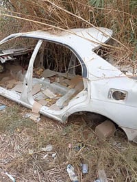 بطة شاصي وبدي فقط  رقم الانبار مشروع وطني سنوية 27 سعر 11 الاستفسار 07...