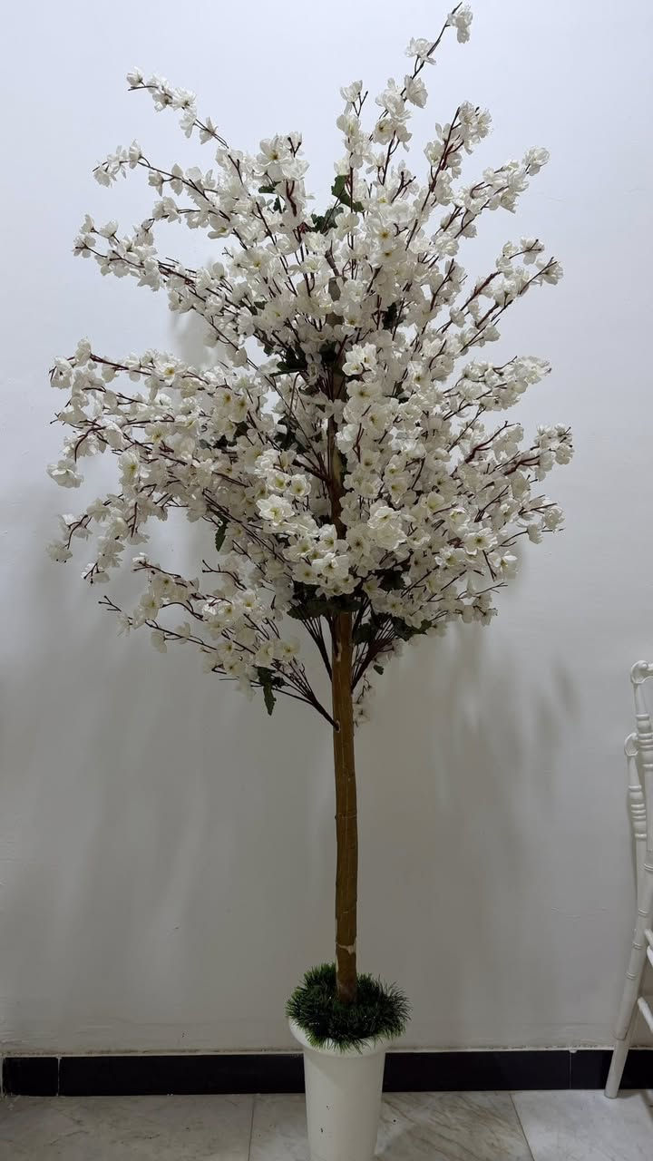 السلام عليكم غراض صالون للبيع نص جديد ونص مستخدمات قليل للتواصل ع الرقم ***********
