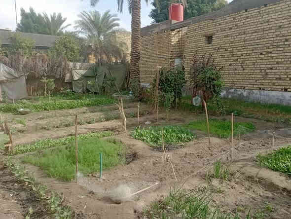 سلام عليكم يتوفر قطع ارض مساحتها ٦٠٠متر جنس الأرض ملك صرف زراعي حق التصرف موقع مميز مشيد عليهى هيكل مسقف مئسس ماء كهرباء مجاري كافت الخدمات متوفره يبعد عن شارع ٣٠متر  سعره مناسب تسليم مفتاح  مع ديكورات مغربيه سعره ١٤٥مليون  العنوان أثار بابل منطقة برنون حي المرتضى شار الصيدلي رقم الهاتف *********** حلة
