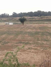 دونم • عقد زراعي • واجهة شط ٣٨م