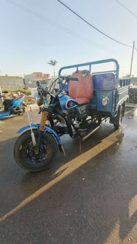 ستوته • ٢٠١٧ • ابيض