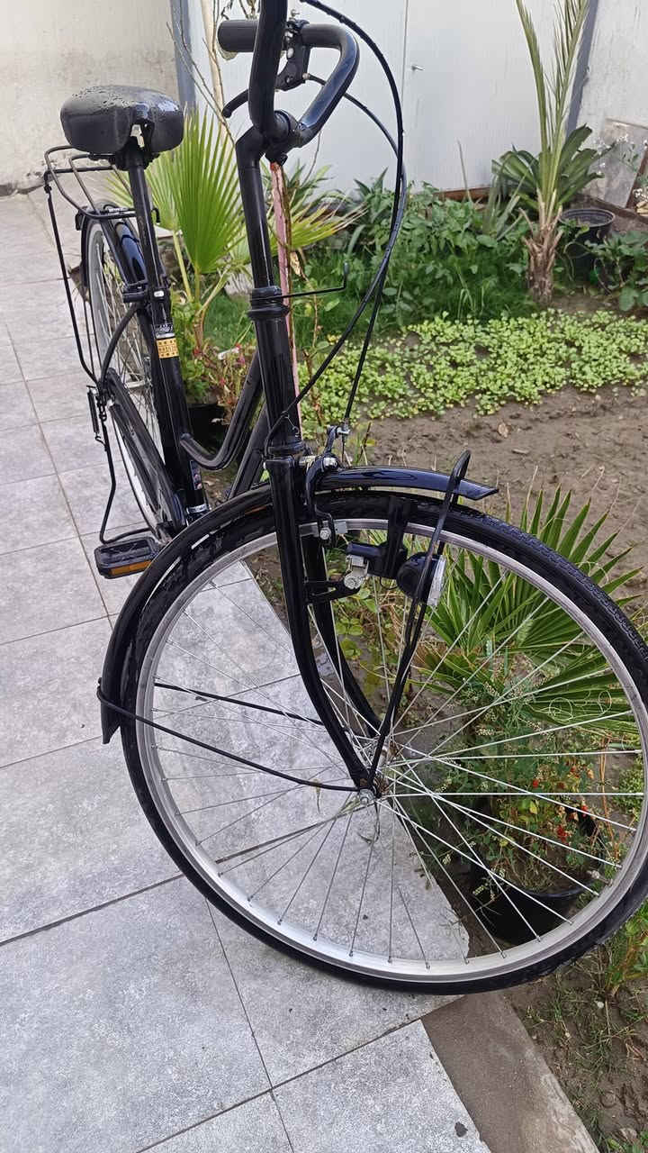 ياباني مديل 2025
قبل فتره طلعته من الحاويه 
حجم 27 
السعر 120


**إذا كنت صاحب هذا الإعلان وتريد حذفه لأي سبب، رجاءا أرسل رسالة إلى الدعم الفني**