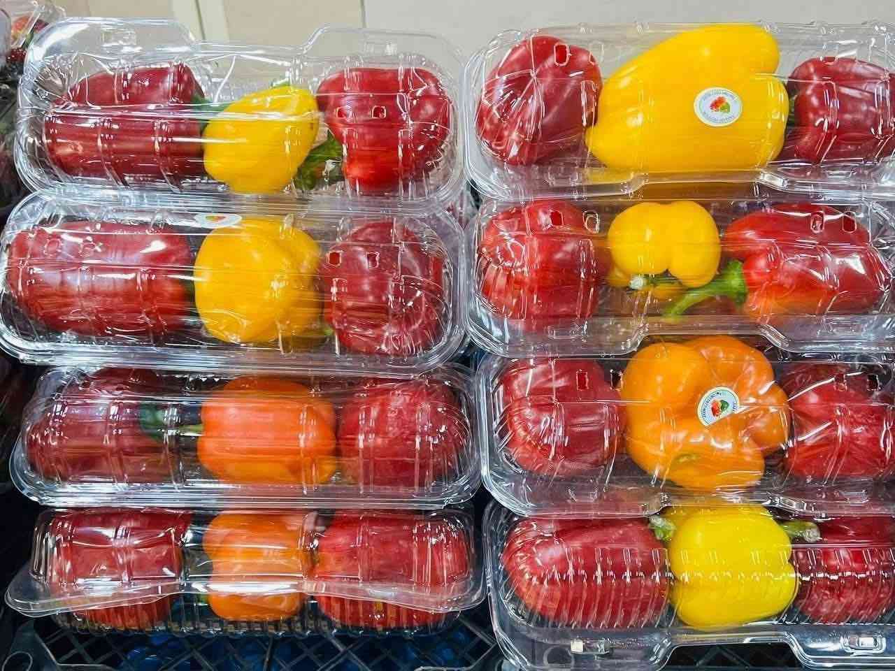 🛒 كل احتياجات البيت… بمكان واحد!
تعب السوق؟ خلّي
علوة امير بسماية التوصيل  َمطعم حج
 تهتم بكلشي 🌿🐟🥩
🔥 خضار وفواكه طازجة يومياً بأسعار سوق
🥩 مجزرة درجة أولى
🐟 سمك حي
🐔 دجاج حي
🍞 خبز بيت طازج
نضام كاشر يجيك طلب ما بي فتورة بسم العلوة علوة امير بسماية    لا تستلمة 
ملاحظة.. الاسعار غير ثابتة حسب السوق .. نشكر تفهمكم 🌼🌼
( اسعار الخضار )

فلفل ألوان 3 علبة 2000
طماطم 🍅 كربلاء 3 ك2000

طماطة 🍅 عراقية درجة اولى 1000

طماطم 🍅تركية فول 1000

طماطم جدر  4 ك 2000 الكيلو 500

ادزرة عراقية وزن 3 ك2000

خيار عراقي 🥒 درجة اولى 1000

خيار 🥒  عراقي درجة اولى 1000

اسود عراقي 🍆  درجة اولى 1000

اسود مستورد 🍆  ناعم طرحي 1000

بطاطا عراقي🥔   عرض 4 ك3000

عرض خاص علاكة بطاطة 23 ك12000

بطاطا 🥔 مصرية  750 

بصل اخضر درجة اولى 3 ك2000

خس درجة اولى 1000

قرنبيط عراقي 1000

شلقم عراقي  3 ك2000

شونذر عراقي درجة اولى 3 ك2000

بصل احمر 🧅1000

بصل مال دولمة طوال 1000

بصل كرستال 🧅 3 ك2000

بصل اصفر 🧅 3 ك2000

شجر عراقي صيفي 🫒1000

فلفل بارد عراقي🫑 1000

فلفل حار عراقي🌶 2000

جزر 🥕 درجة اولى 1000

فاصوليا عراقي 🥗2000

لهانة بيضة 🥗 3 ك2000

لهانة حمرة 🥗3 ك2000

(    اسعـــار الفـــواكه   )

رارنج عراقي 1500

كستناء 🌰 3000

فرولة درجة اولى 1000

موز درجة اولى 1500

برتقال يراني 1000

تفاح يراني 1000

لانكي يراني 1000

تمر برحي 2500

رمان مصري 2000

رمان سوري شرط عسل 2000

موز درجة اولى   1500

كيوي افريقي عسل 1500

منكة مصرية عسل 3000 الكيلو 

لانكي عراقي 1500

لانكي تركي  عسل 1500

لانكي يراني عسل 1000

لانكي افريقي 1500

برتقال مصري 🍊1500

برتقال افريقي🍊 1500

برتقال 🍊 تركي 1500

برتقال 🍊 يمني عسل 1500

برتقال يراني 1000

وتفاح اخضر🍏 2500

تفاح يراني ابيض 1500

تفاح  اصفر 1500 

تفاح احمر 1000 عرض تطلب اكتب  العرض

تفاح اصفر درجة اولى 1500

 
 ليمون افريقي 🍋 اصفر 2000

ليمون مصري 🍋 اخضر 2000

ركي  عراقي كيلو 1000

ركي  عراقي كيلو 1000

بطيخ عراقي حلو كلش 1500

بطيخ عراقي عسل 1500

ثوم عراقي يابس كيلو  🧄4000

ثوم كيس 🧄1000

جزر تركي 🥕1000

 

زنجبيل 🫚 5000

اسعار التمور 
ذرة 🌽 جاهزة 1000

تمر برحي علبة 2000

تمر خستاوي كيس 1000

( اسعار  الخضروات ) 
 سبيناغ بامة كبيرة دبل معة المواد 1500

خضرة ١٠ ب 1000🥙

سلك باكة دبل فول1500

طرشي شقل بيت درجة اولى  كيس نص كيلو 1500

طرشي مدبس درجة اولى كيلو 5000

طرشي درجة اولى مشكل كيلو5000

خل ابيض بطل كبير وزن كيلوين 1000

خل اسود بطل كبير وزن كيلوين 1000

(((اسعار الجملة))) 

كرتونة موز 15 ك 14000

 
صندوك برتقال 15000

كيس بطاطة 17 ك 12000

كيس بصل 24 ك12000

@إشارة جمعيا الله اسلام عليكم اخوتي وتاج راسي 

اخوان علوة كلشي متوفر بيهة 

سوبر ماركت 

دجاج 🐔 حي كيلو 3750

🐟 سمك حي كيلو 6000

افخاذ دجاج 🐔 كيو 6000

صدر دجاج 🐔 كيلو 7000

خبز بيت درجةً اولى 

طرشي درجة اولى مشكل كيلو 5000

خيار محشة كيلو 5000

طرشي خل مشكل كيلو 5000
🐔 دجاج حي الكيلو 3750
🐟 سمك حي الكيلو 6000

🚚 توصيل لبسماية خلال ساعة فقط
💵 أجور التوصيل: 1000 دينار

📞 واتساب / اتصال: ***********

✨ 📩 أو راسلنا خاص وخدمة سريعة 💚

🔥
#بسماية
#مدينة_بسماية
#علوة_امير
#خضار_بسماية
#فواكه_بسماية
#سوبرماركت_بسماية
#مجزرة_بسماية
#سمك_حي
#توصيل_بسماية
#عروض_اليوم
#بغداد
#تسوق_ذكي
 🔥 🚀
