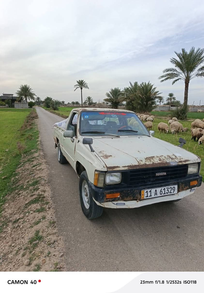 بيكم 1985 بسمي تحويل مباشر مكانها بغداد التاجي 
عارضها 35(, ***********
