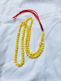 كهرب بولوني حر طبيعي 101 الوزن 23 غرام شاهد ستندر 07885797482