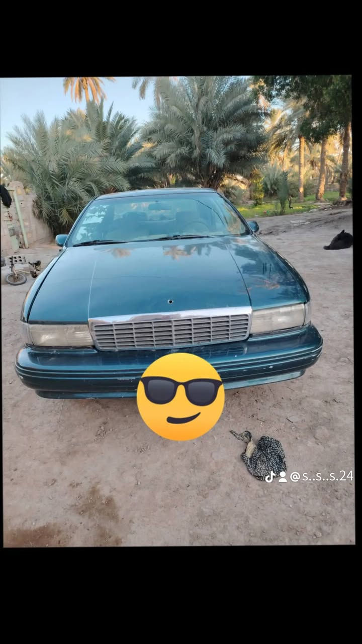 السلام عليكم دولفين للبيع و المراوس حسب القناع موديل 92 محرك او كير مكفولات تبريد شغال نقص بس كم بريسر تخم تاير جديد باتري جديد سعر 35 ورقه او بيه مجال رقم  *********** موجود بي واتساب
