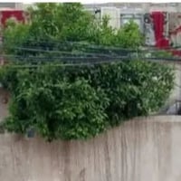 الكريعات شارع الكويتي • ١٩٢م • طابو سكني