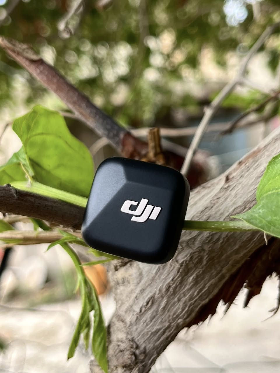 نك مايك dji غير مستخدم تفاصل خاص


**إذا كنت صاحب هذا الإعلان وتريد حذفه لأي سبب، رجاءا أرسل رسالة إلى الدعم الفني**