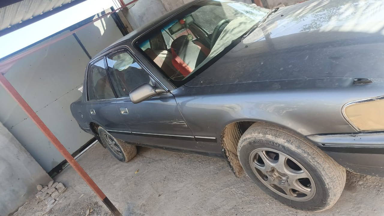 مارك كربلائي مكفوله كص ونقل محرك ونجي ناعم حلو  راعيه يمي ليمته ماتريد تحويل سعر 35
 ‏‪***********‬‏
