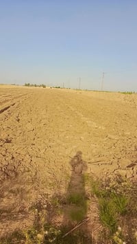 الاحرار المزاك • قرية تهامة • ٣ دوانم