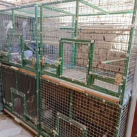 خانات حديد • قفص طيور • عدد ٢