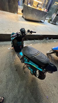 سكنس جبلي • كفاله عامه • البصره