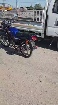 هاوجي • ١٥٠ • ٢٠٢٤