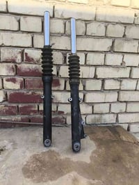 دبلات بوكسر • جبلي • العمارة ميسان