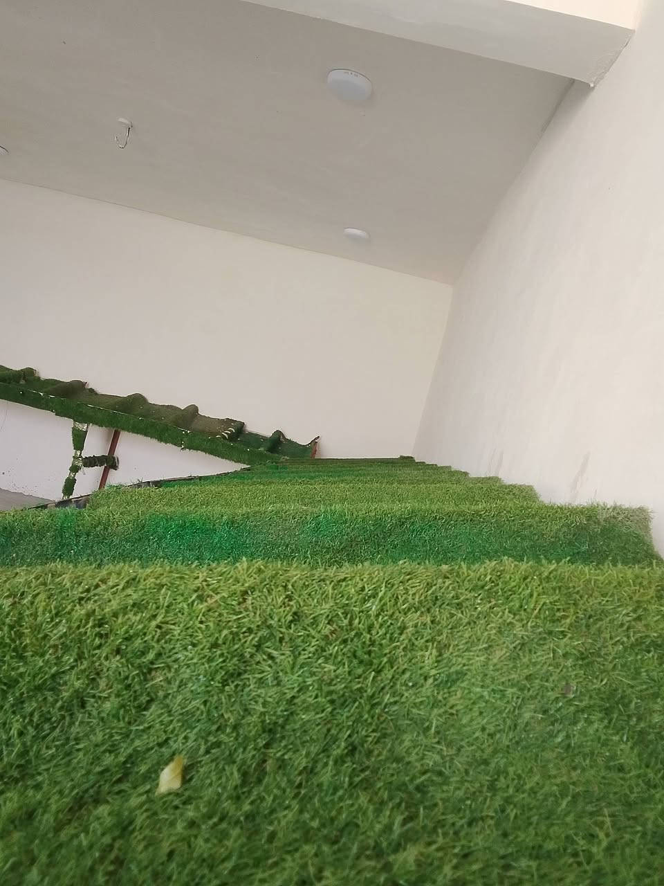 اميوز امخضر للبيع رقم الهاتف ***********
