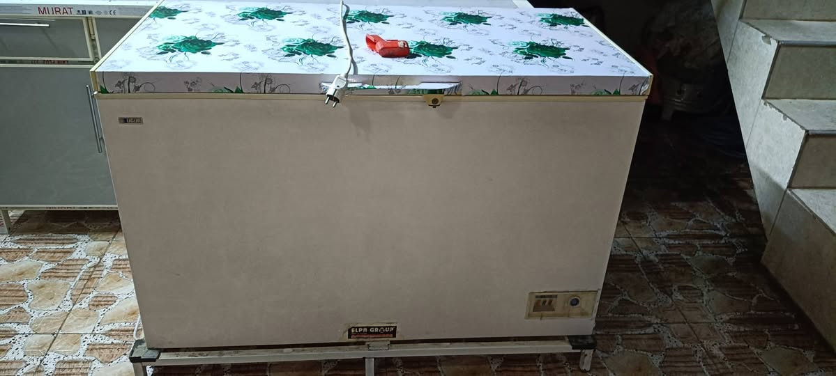 للبيع مجمدة حجم كبير شرط النظافة وشرط بلادي
سعره 150 وبيها مجال 
***********
