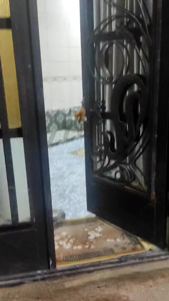 سلام عليكم بيت منطقت سيد سماعيل طابو سند 25 
200 متر مربع وجه14 ونزال 14 غرفتين واستقبال وصاله مطبخ كراج سياره   ***********
